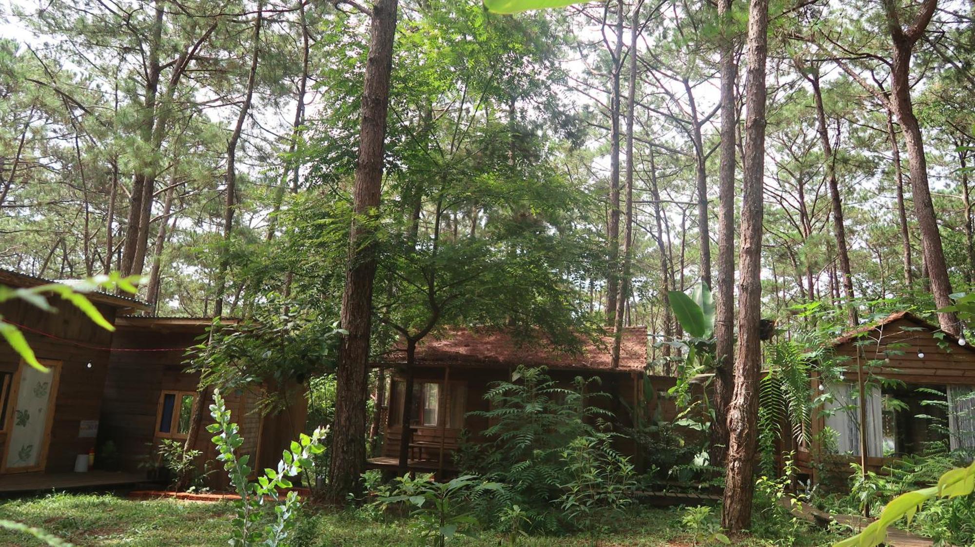 La Maison Homestay Mang Den Kon Tum Exterior foto